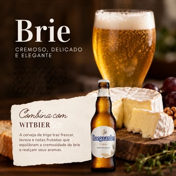 Harmonização de queijos e bebidas 1